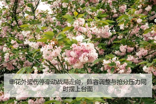 shen-hua-wai-yuan-shang-ting-qian-dong-zhan-ju-zou-xiang-zhen-rong-tiao-zheng-yu-qiang-fen-ya-li-tong-shi-bai-shang-tai-2-210.jpg