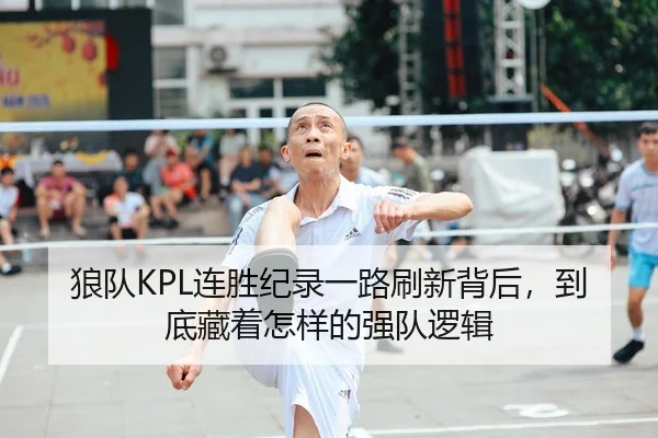 狼队KPL连胜纪录一路刷新背后，到底藏着怎样的强队逻辑
